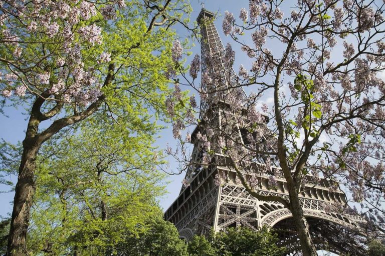 Nouvelles règles de tarification des titres de séjour en France dès mai 2026