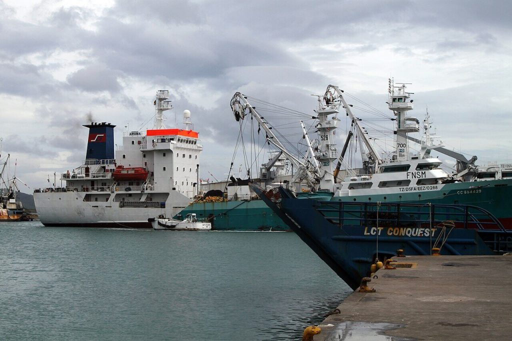 Seychelles : la numérisation des permis de travail va-t-elle vraiment simplifier vos démarches ?