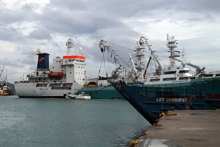 Seychelles : la numérisation des permis de travail va-t-elle vraiment simplifier vos démarches ?